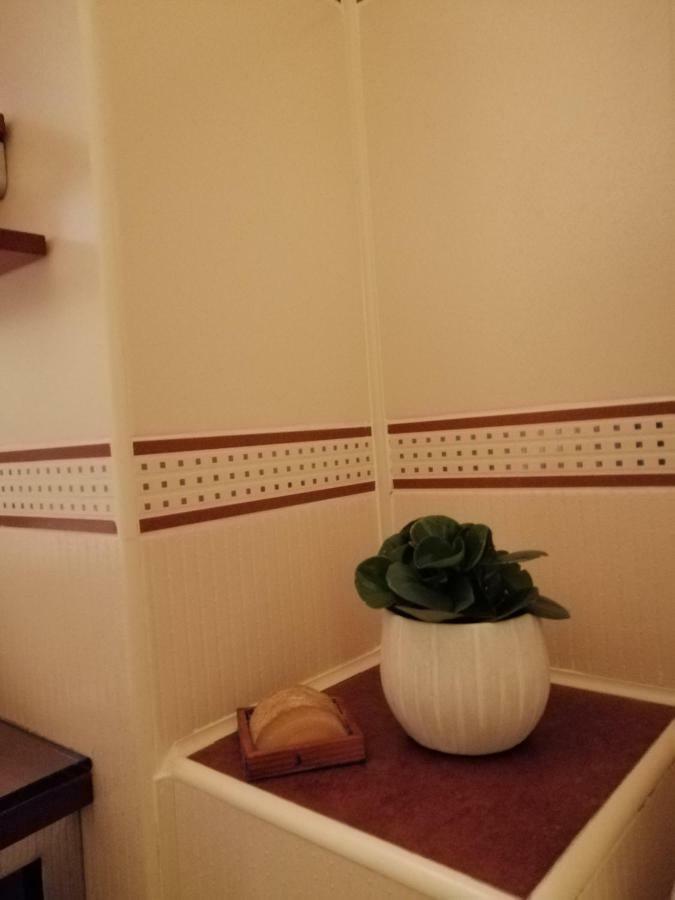 Carpatilor Residence براشوف المظهر الخارجي الصورة
