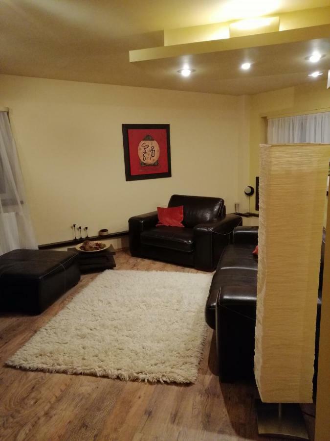 Carpatilor Residence براشوف المظهر الخارجي الصورة