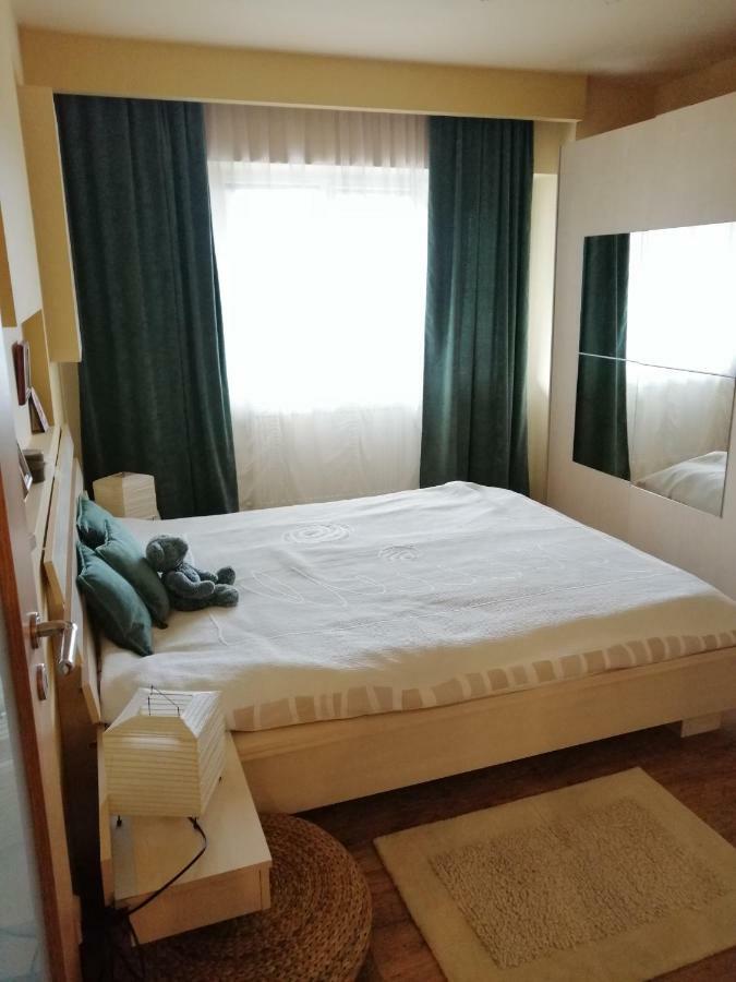 Carpatilor Residence براشوف المظهر الخارجي الصورة